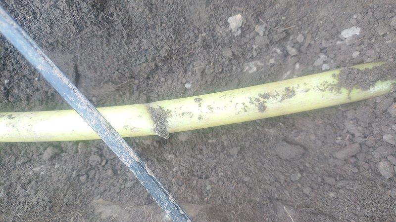 Responded to gas line repair request for exterior gas piping system. Upon inspection, identified weathered and deteriorated yellow-coated gas line showing significant surface wear, paint degradation, and exposure damage. Excavated affected section of gas line, removed compromised piping material, and installed replacement gas line section to restore system integrity. Performed pressure test on repaired gas line to verify leak-free connections and proper system operation, confirming all readings met code requirements for safe gas delivery.