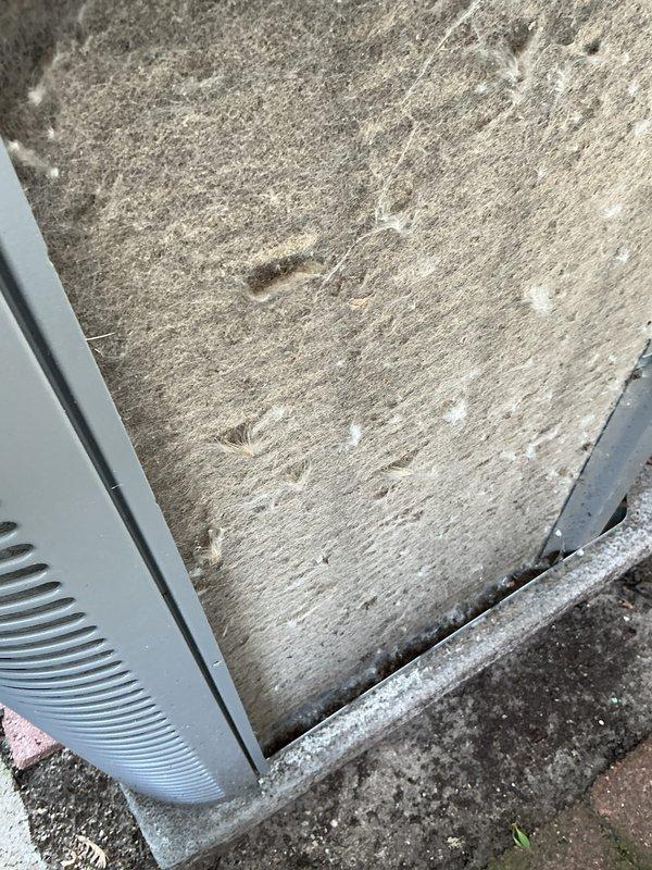 Completed annual air conditioning maintenance on a one-year-old system. Performed standard tune-up procedures including inspection of outdoor condenser unit, verification of electrical connections, and assessment of overall system operation. Investigated reported carbon monoxide detector issue and determined it was related to low battery rather than a system malfunction.