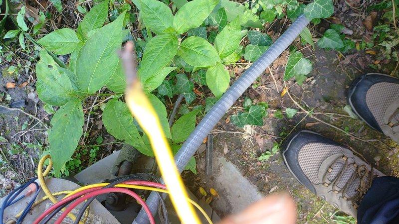 Responded to emergency no-cooling call with indoor temperature at 88 degrees. Diagnosed failed capacitor on outdoor condensing unit. Replaced defective TITAN capacitor with new unit, reconnected all electrical connections, and verified proper system operation. System restored to normal cooling function.