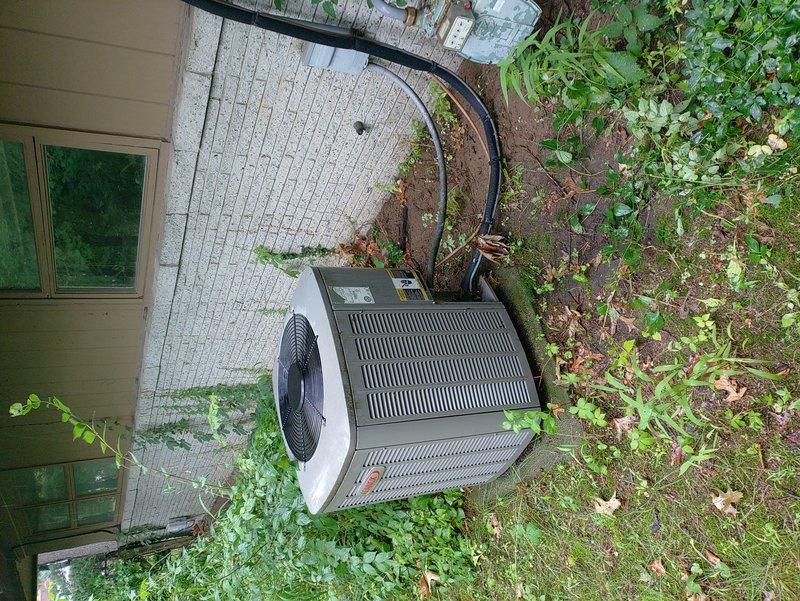 # HVAC Service Call - No Cooling Condition

Responded to no cooling complaint on residential air conditioning system. Upon arrival, found outdoor condensing unit located on brick paver pad adjacent to building exterior with significant vegetation overgrowth restricting airflow through unit. 

Performed visual inspection of equipment revealing 10+ year old system with heavily corroded copper refrigerant lines showing extensive oxidation and reddish-brown patina on larger suction line. Unit positioned in shaded area with climbing vines growing on wall near refrigerant piping and dense plant growth surrounding base of condenser cabinet, obstructing ventilation louvers.

Documented existing conditions through photographic evidence showing compromised equipment access and maintenance concerns due to landscaping encroachment. Refrigerant lines running up building exterior wall displayed advanced corrosion indicating prolonged exposure to moisture and lack of routine maintenance. Black electr