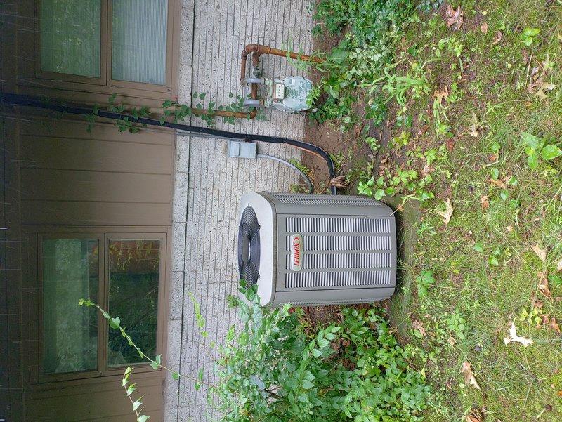 # HVAC Service Call - No Cooling Condition

Responded to no cooling complaint on residential air conditioning system. Upon arrival, found outdoor condensing unit located on brick paver pad adjacent to building exterior with significant vegetation overgrowth restricting airflow through unit. 

Performed visual inspection of equipment revealing 10+ year old system with heavily corroded copper refrigerant lines showing extensive oxidation and reddish-brown patina on larger suction line. Unit positioned in shaded area with climbing vines growing on wall near refrigerant piping and dense plant growth surrounding base of condenser cabinet, obstructing ventilation louvers.

Documented existing conditions through photographic evidence showing compromised equipment access and maintenance concerns due to landscaping encroachment. Refrigerant lines running up building exterior wall displayed advanced corrosion indicating prolonged exposure to moisture and lack of routine maintenance. Black electr