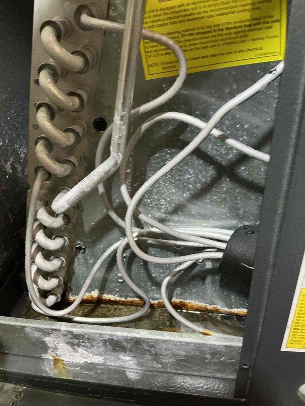 Completed preventive maintenance tune-up on 7-year-old outdoor A/C unit. Inspected evaporator coil, blower assembly, and electrical connections; noted moderate dust accumulation on blower wheel and interior surfaces consistent with normal operation. All components functioning within normal parameters upon completion of service.