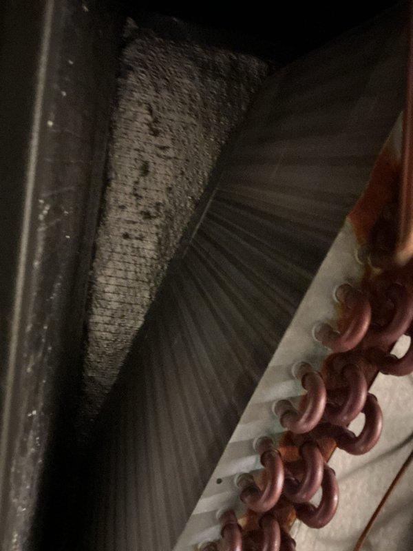 Performed comprehensive cooling maintenance and tune-up on 16-year-old residential air conditioning system. Inspected outdoor condensing unit, verified proper operation of condenser fan motor and compressor, checked refrigerant lines and connections for leaks, cleaned condenser coils, and examined interior ductwork system. All components found operating within normal parameters; system tested and confirmed ready for cooling season.