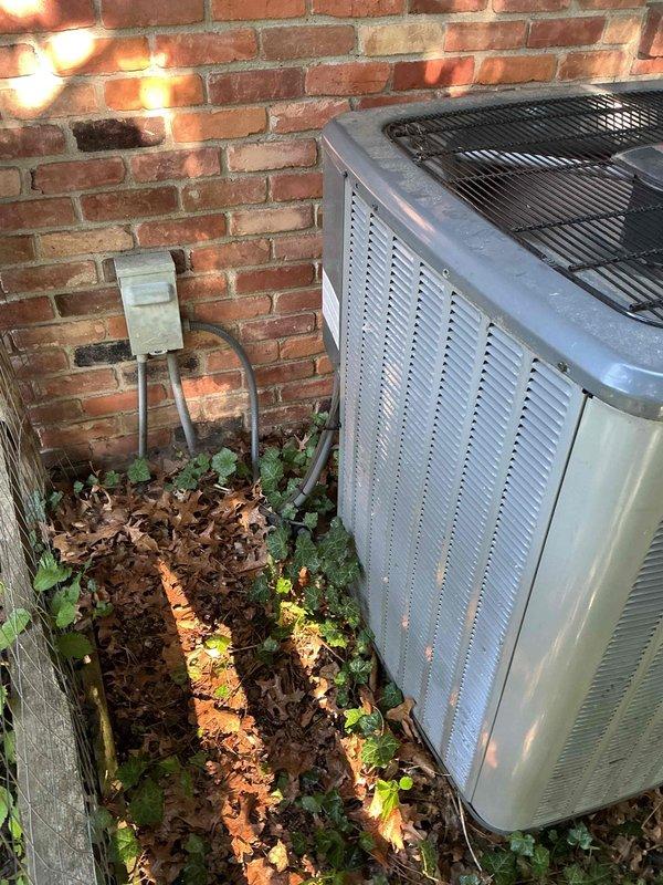 Completed comprehensive air conditioning tune-up on 11-year-old outdoor unit. Performed standard maintenance procedures including inspection of capacitor, electrical connections, and CoreSense diagnostic system; all components found operating within normal parameters despite visible exterior weathering and organic growth on housing surfaces typical of outdoor installation.