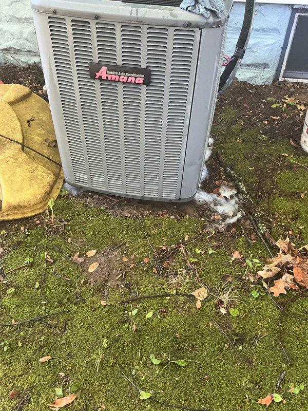 Completed routine cooling maintenance on an 18-year-old Amana air conditioning unit. Inspected outdoor condenser unit, electrical connections, and internal components. Unit operational at time of service, with electrical wiring and contactors showing age-appropriate wear. Surrounding area exhibits significant moss and organic debris accumulation on concrete pad, which may impact drainage and airflow efficiency over time.