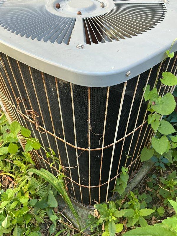 Responded to service call for 15-year-old Carrier air conditioning system not operating properly. Upon arrival, found outdoor condensing unit heavily overgrown with vegetation restricting airflow to condenser coils and impeding proper heat exchange. Cleared weeds, plants, and debris from around unit perimeter to restore adequate clearance for ventilation. Inspected condenser coil fins for damage and blockage caused by plant material. Removed accumulated dirt and organic matter from top grille and fan assembly. Verified electrical disconnect and wiring connections were secure and free from vegetation interference. System tested and confirmed operational following clearance of obstructions and restoration of proper airflow around unit.