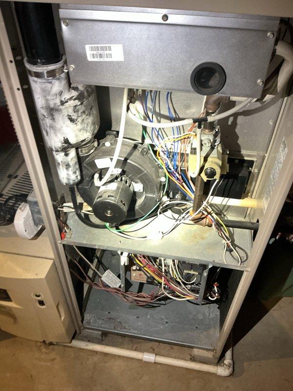 Completed comprehensive tune-up on 20-year-old residential furnace system located in basement, including full inspection of blower motor assembly, electrical connections, and internal components. Performed water heater flush and fill service on approximately 20-year-old unit. All systems tested and returned to normal operation with no immediate concerns noted during service visit.