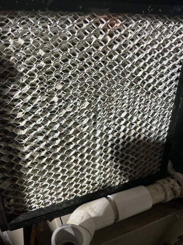Completed comprehensive furnace tune-up inspection including examination of evaporator coil, drainage system, and mechanical components. Evaporator coil mesh showed satisfactory condition with minimal debris accumulation, and PVC condensate drain line was verified for proper operation. All system components were inspected and found operating within normal parameters.