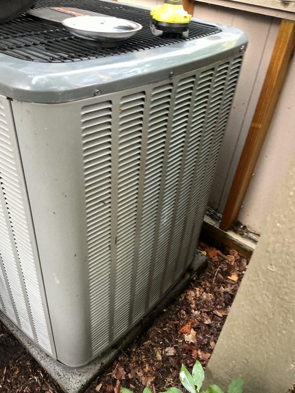 Completed MVP AC tune-up on 7-year-old air conditioning system. Performed comprehensive maintenance inspection, cleared accumulated leaves and organic debris from around condenser unit base and refrigerant line set area to ensure proper airflow and system efficiency. Verified unit operation and confirmed system performance meets manufacturer specifications.