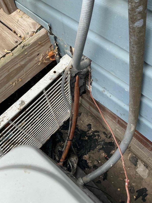 Responded to service call for non-operational air conditioning system with damaged wiring at condenser unit caused by animal interference. Upon inspection, found multiple electrical wires severed by dogs at the outdoor condenser location, preventing unit operation. Assessed the extent of wire damage to the condenser unit and documented the affected components including damaged electrical connections and compromised wiring harness. Photographed the installation area showing the white condenser unit, refrigerant lines, coil assembly, and the compartment where wire damage occurred. The condenser area exhibited significant debris accumulation and weathered conditions that required attention during the repair process. Identified all damaged wire sections requiring replacement to restore proper electrical connectivity between components. The repair will involve replacing the chewed wiring, reconnecting electrical circuits to manufacturer specifications, and testing system operation to ensure