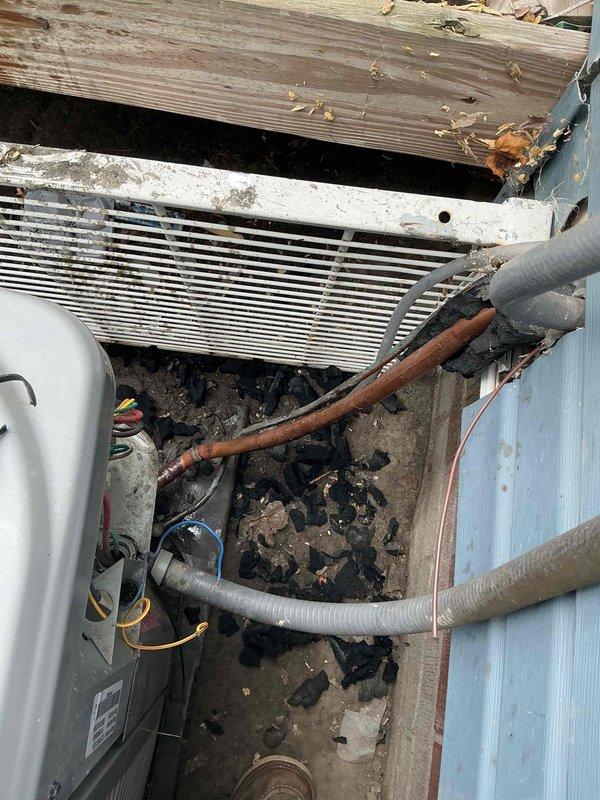 Responded to service call for non-operational air conditioning system with damaged wiring at condenser unit caused by animal interference. Upon inspection, found multiple electrical wires severed by dogs at the outdoor condenser location, preventing unit operation. Assessed the extent of wire damage to the condenser unit and documented the affected components including damaged electrical connections and compromised wiring harness. Photographed the installation area showing the white condenser unit, refrigerant lines, coil assembly, and the compartment where wire damage occurred. The condenser area exhibited significant debris accumulation and weathered conditions that required attention during the repair process. Identified all damaged wire sections requiring replacement to restore proper electrical connectivity between components. The repair will involve replacing the chewed wiring, reconnecting electrical circuits to manufacturer specifications, and testing system operation to ensure