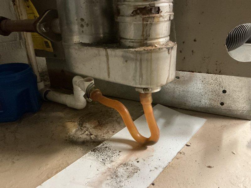 Completed scheduled heating maintenance on 20+ year old boiler system during requested morning timeframe. Performed comprehensive inspection of boiler components including motor assembly, gas valve, ignition system, and electrical connections; verified proper operation of circulator pump and hydronic piping connections. System operational upon completion, though advanced age and visible exterior corrosion noted for future consideration.