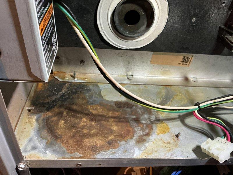Performed annual maintenance on a 12-year-old gas furnace, including a combustion analysis that measured 7.1% O₂, 7.80% CO₂, 21 ppm CO (32 ppm air-free), 108.8°F stack temperature, and 93.5% efficiency, with 3.48 inH₂O differential pressure recorded. Identified heavy rust and corrosion on the cabinet floor, indicating prolonged moisture exposure or leakage, and recommend further inspection of the condensate and venting components to determine the source.