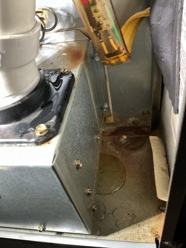 Diagnosed a no-heat condition on a 10-15 year old furnace and found significant internal corrosion, with rust deposits and standing acidic-looking condensate in the cabinet bottom, along with moisture at the flue/PVC vent coupling gasket, indicating a condensate or flue leak. Additional contamination and staining were noted on the unit's upper surface and plenum area. The unit's condition and age warrant replacement, and the customer expressed interest in a new furnace installation.