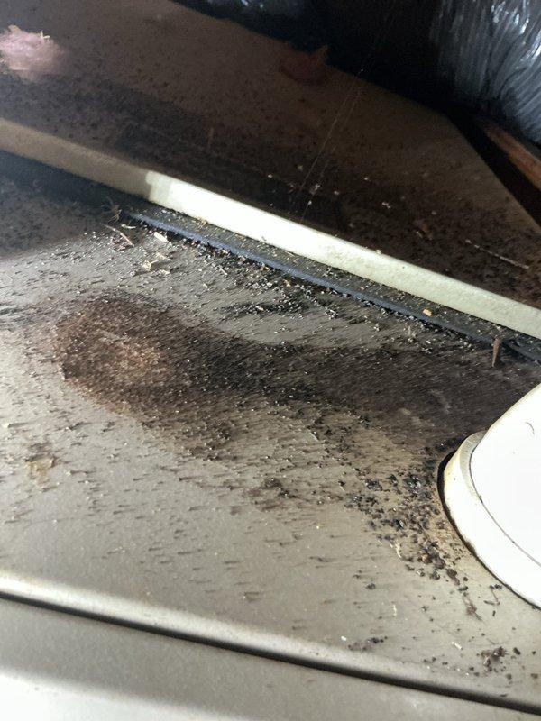 Diagnosed a no-heat condition on a 10-15 year old furnace and found significant internal corrosion, with rust deposits and standing acidic-looking condensate in the cabinet bottom, along with moisture at the flue/PVC vent coupling gasket, indicating a condensate or flue leak. Additional contamination and staining were noted on the unit's upper surface and plenum area. The unit's condition and age warrant replacement, and the customer expressed interest in a new furnace installation.