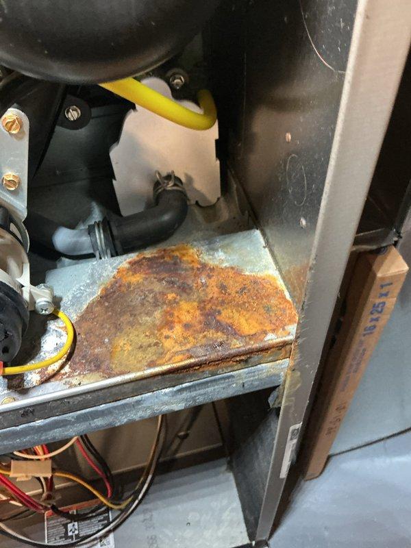 Performed a seasonal tune-up on a 2-year-old gas furnace, inspecting the cabinet interior, condensate drain line, and electrical connections. Found significant rust and corrosion on the galvanized cabinet floor beneath the condensate drain hose and fitting, indicating a possible past or ongoing leak at the drain connection; recommend monitoring and further evaluation. Condensate PVC drain piping and rubber coupling were secure and free of cracking or damage, and the 16x25x1 air filter was verified in place.