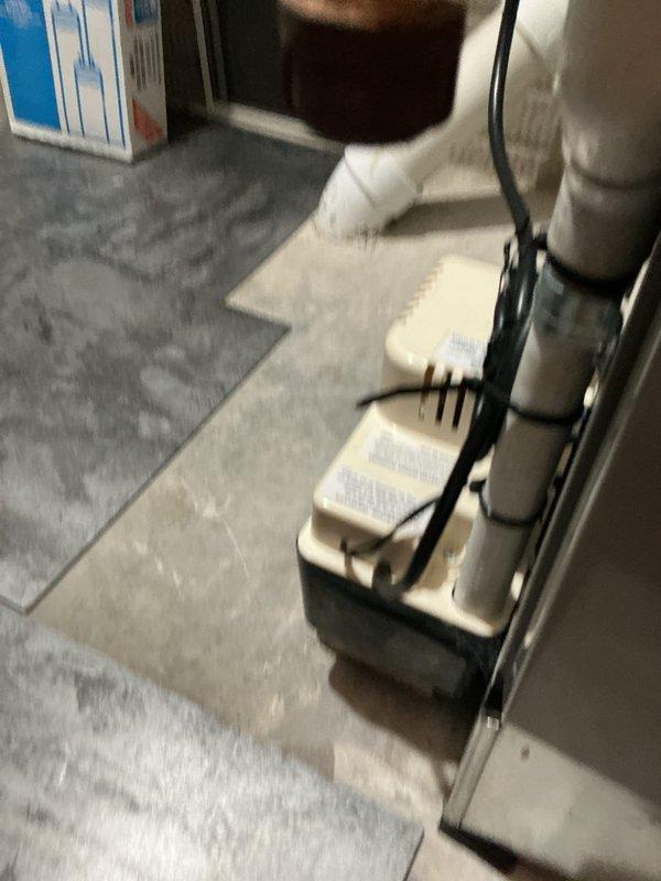 Performed seasonal preventive maintenance on the gas furnace, including verification of heating operation and measurement of supply air temperature (approximately 125°F at the supply) to confirm proper heat rise. Inspected the condensate drain system, including the condensate pump and PVC drain piping, to ensure proper drainage and secure fittings.