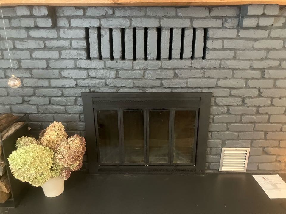 Excelsior, MN - Chimney cleaning and smartscan inspection 