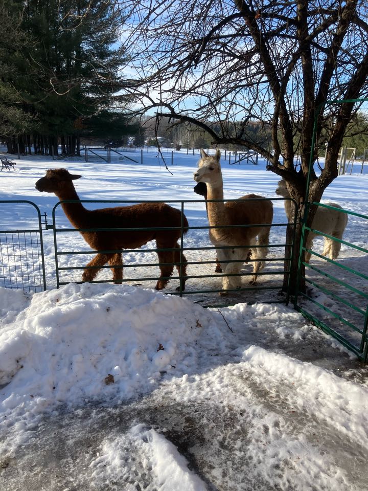 Installed new 4” gas cap