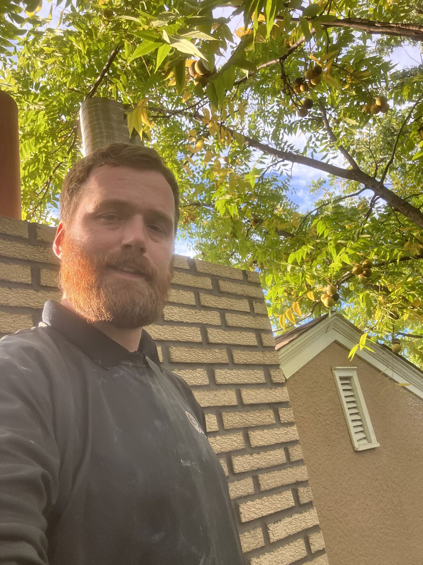 Saint Paul, MN - Rebuilding chimney. Saint Paul, MN