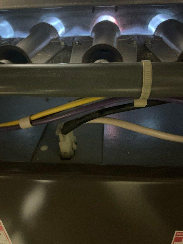 Performed standard furnace maintenance service. Inspected burner assembly confirming proper flame pattern and combustion (blue flames indicating good operation). Examined blower wheel which showed normal dust accumulation but remains in functional condition. System is operating normally with no immediate concerns identified.