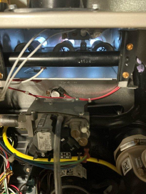 Performed routine maintenance on a 2-year-old gas furnace. Inspected burner assembly with proper blue flame indicating complete combustion. Examined blower wheel assembly for proper operation and cleaned components. All electrical connections and gas valve functioning normally.