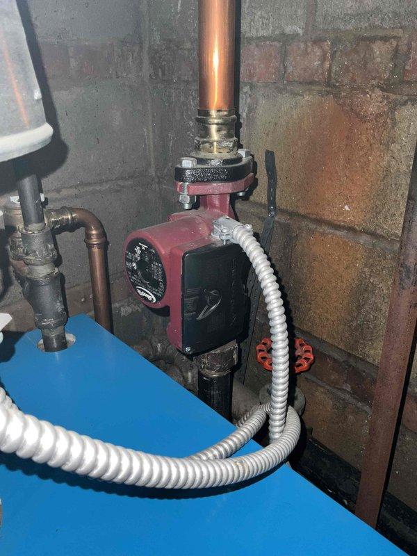 Performed annual boiler tune-up in basement mechanical room, inspecting the blue and white boiler unit with metallic exhaust vent. Checked operation of red circulator pump and verified all copper pipe connections were secure with no leaks present. System functioning properly after service.
