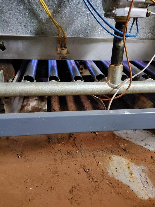 Performed scheduled tune-up on water boiler (model MVP8-12) of undetermined age. Inspected burner assembly showing proper flame pattern across all tubes. Checked and verified component identification numbers (CP4657187, CP4538708) and examined electrical connections, noting all wires (yellow, blue, orange, white) were secure and properly routed.