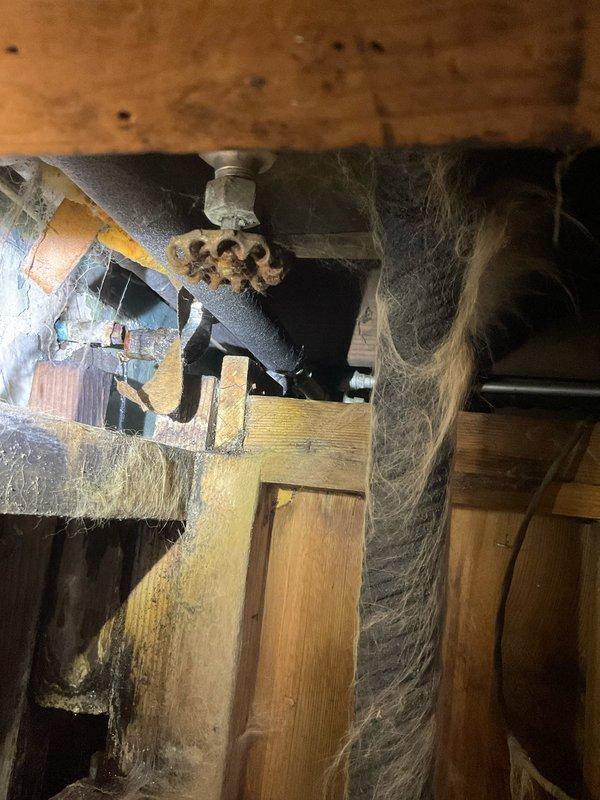 Responded to emergency call for burst pipe in basement causing water backup issues. Inspection of the crawlspace revealed significant corrosion on water supply lines and valve assembly with extensive cobweb accumulation indicating long-term moisture exposure. Replaced damaged pipe section and restored proper water flow while ensuring no additional leakage into hot water heater.