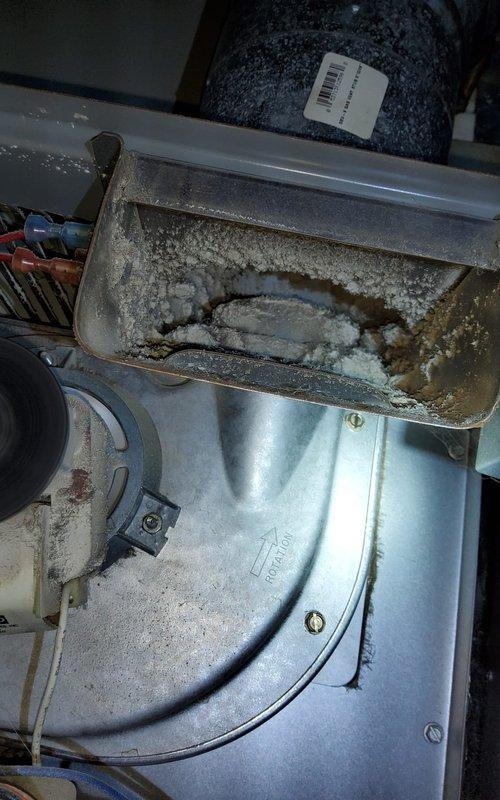 Responded to service call for non-functioning furnace with heating failure. Inspection revealed severe dirt and debris accumulation in the heat exchanger with visible damage and white mineral deposits. Blower wheel assembly showed significant dust buildup affecting proper airflow. Performed thorough cleaning of components to restore proper operation.