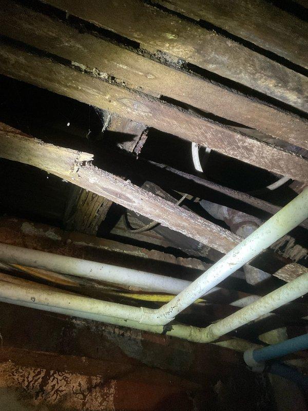 Performed inspection of aging plumbing system in crawl space/basement area. Observed multiple copper pipes showing significant corrosion and deterioration alongside PVC piping. Identified potential water damage to wooden joists in ceiling structure. Visual assessment completed to determine necessary repairs for future service.