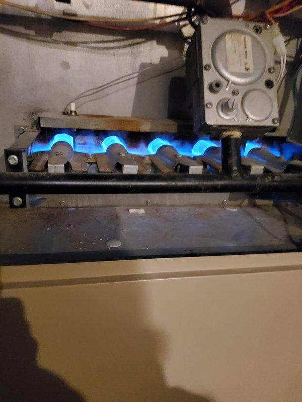 Responded to a no-heat call following previous service by Jeff who had identified a loose wire. Located and secured disconnected control wire at circuit board, restoring furnace operation. Verified proper ignition sequence and confirmed all burners displaying strong, consistent blue flame pattern across all tubes, indicating complete combustion and proper gas valve operation.