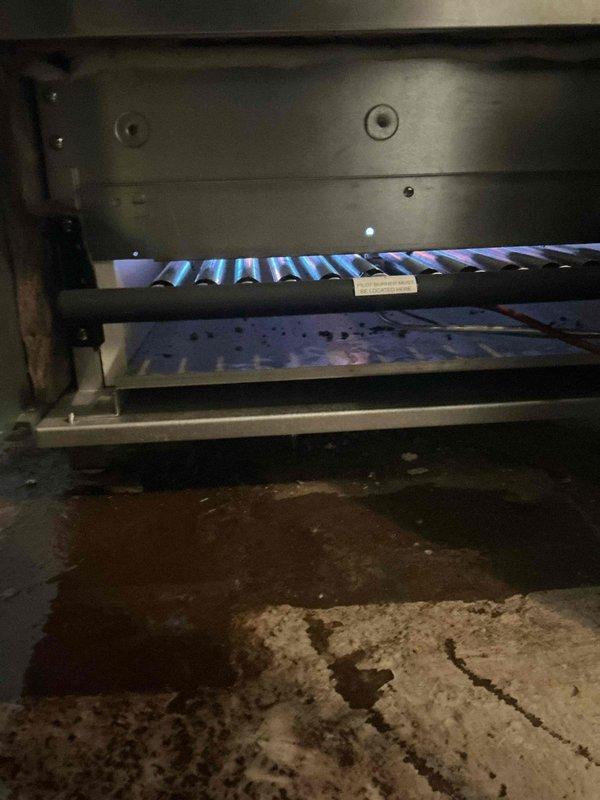 Performed diagnostics on boiler system that was previously scheduled for skimming due to dirty water issues. Inspected burner assembly, which showed proper blue flame pattern and normal operation. Visual inspection confirmed no current water leakage at unit, though previous water staining was noted on concrete floor beneath the unit. No skimming was required at this time as system appears to be functioning normally.