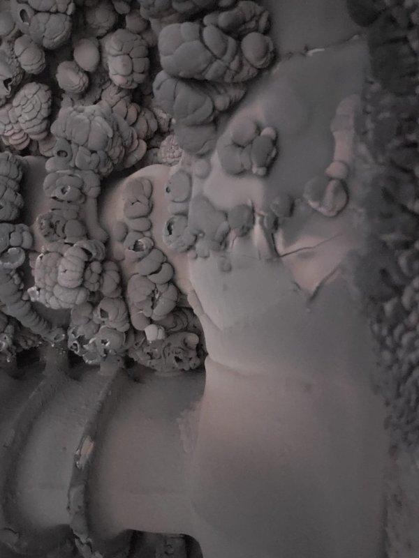 Responded to no heat call on 17-year-old boiler under warranty coverage. Inspection revealed heavily fouled heat exchanger with significant soot accumulation and mineral deposits, indicating prolonged deterioration. Documented condition with photos for warranty claim processing.