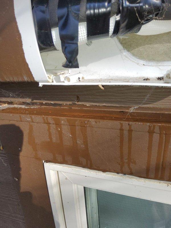 Inspected mini split system exhibiting refrigerant leak evidenced by water damage and brown streaking on both exterior siding and interior wall surface. Identified leak source at the line set connection points near window installation where significant staining patterns were observed. Recommended complete line set replacement and system recharge to resolve ongoing refrigerant loss.