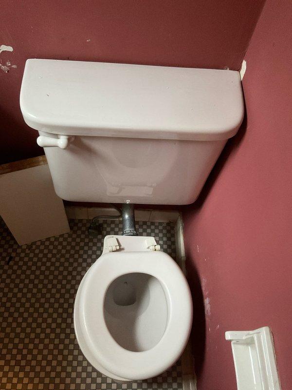 Conducted inspection of customer's bathroom and HVAC/plumbing systems. Evaluated two sink fixtures and toilet for potential replacement, noting worn toilet seat hinges and dated appearance. Documented moisture indicator on HVAC component showing signs of condensation and damaged insulation requiring attention.
