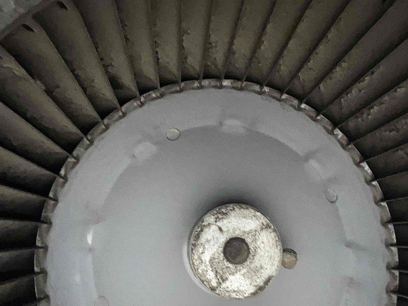 Performed comprehensive furnace tune-up service, including inspection of copper tubing components and heat exchanger. Cleaned and inspected blower wheel assembly which showed moderate dust accumulation. Customer was informed about renewal options for their home protection plan.
