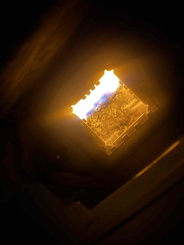 Performed diagnostic inspection on gas-fired tanked water heater in century home. Examined burner assembly, confirming proper flame pattern and combustion (blue flames visible). System functioning normally with no operational issues detected; no repairs required at this time.