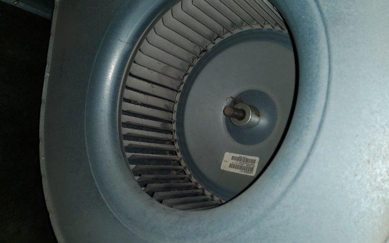 Performed scheduled maintenance on 25+ year old gas furnace. Inspected blower wheel assembly and found it in normal operating condition with minimal dust accumulation. Completed comprehensive tune-up service ensuring proper system functionality for continued reliable operation.