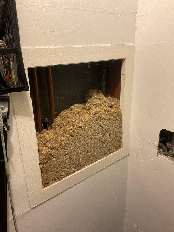 Inspected shower faucet shut-off issue via wall access panel. Assessed control valve and associated plumbing components behind wall, revealing insulation material around the valve assembly. Evaluated the shower control valve, flexible metal hose connection, and surrounding tile integrity to diagnose shut-off malfunction.