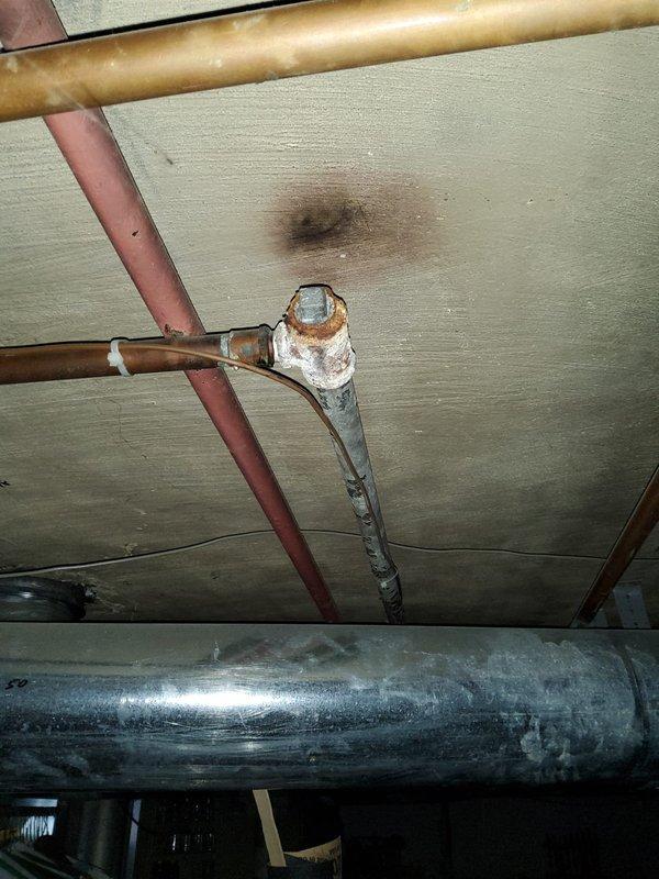 Performed faucet replacement in a century-old home with deteriorating plumbing infrastructure. Installed new P-trap assembly with PVC piping and braided supply lines beneath bathroom sink. Identified and documented water damage and corrosion at pipe junctions in basement, particularly where dissimilar metals connect, which may require future attention.