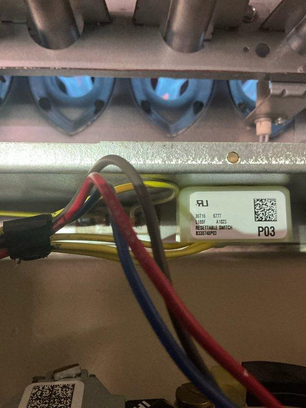 Responded to no-heat complaint on previously serviced unit. Inspection revealed excessive debris accumulation around PVC exhaust pipe and resettable switch area. Cleaned debris, reset pressure switch, and verified proper burner operation to restore system functionality.