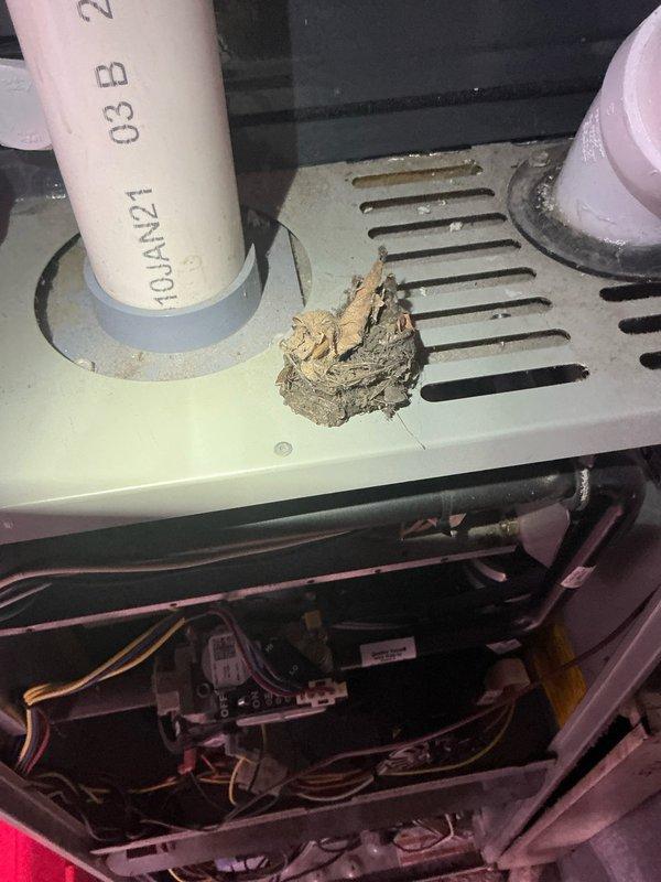 Responded to no-heat complaint on previously serviced unit. Inspection revealed excessive debris accumulation around PVC exhaust pipe and resettable switch area. Cleaned debris, reset pressure switch, and verified proper burner operation to restore system functionality.