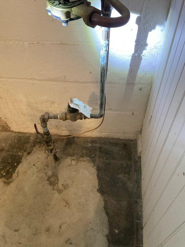 Completed routine maintenance flush of 50-gallon tanked water heater. Inspected pressure regulator valve, copper supply lines, and drain valve during service. Documented condition of plumbing connections and electrical components with photos for service records.