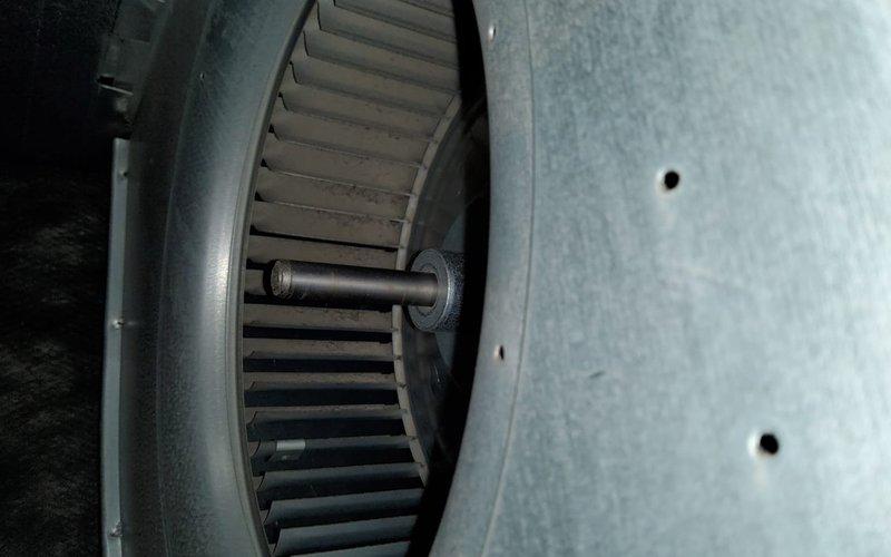 Performed scheduled maintenance service on dual-system heating equipment (heat pump and gas furnace) as part of MVP maintenance program. Inspected blower wheel assembly which showed normal dust accumulation consistent with regular operation. Examined motor assembly and electrical connections, confirming proper mounting and wiring configuration with no visible issues detected.