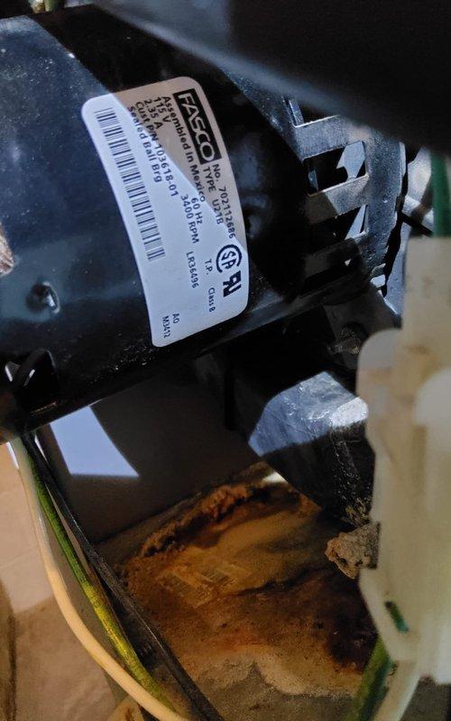 Performed scheduled maintenance tune-up on 5+ year old furnace. Inspected FASCO motor for proper operation and condition, noting no abnormalities. System is installed in utility closet alongside GE water heater with appropriate PVC venting and copper line connections; all components functioning within normal parameters.