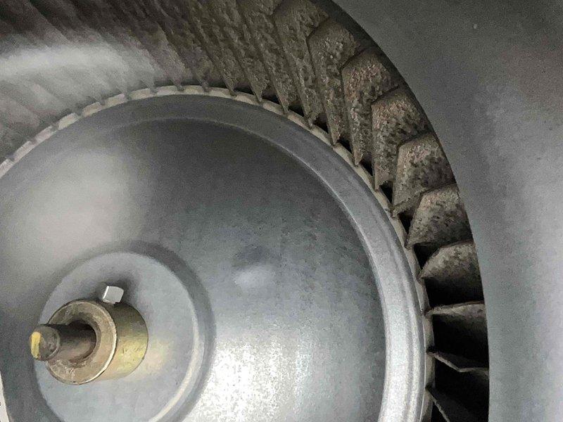 Performed routine maintenance on a 2-year-old furnace under Home Plan Heating Tune Up service. Inspected blower wheel assembly which showed minor dust accumulation on fan blades. Verified proper burner operation with strong, consistent blue flames and examined electrical connections for secure wiring to ensure system reliability.