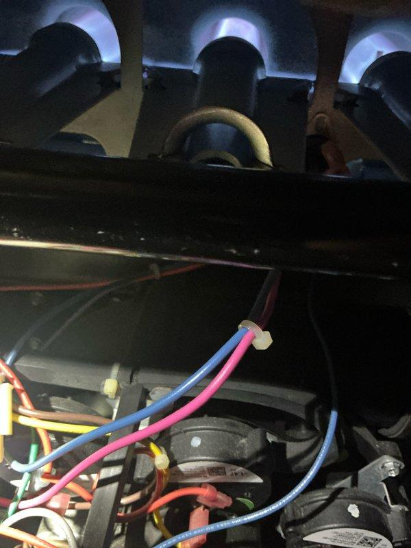 Performed routine maintenance on a 2-year-old furnace under Home Plan Heating Tune Up service. Inspected blower wheel assembly which showed minor dust accumulation on fan blades. Verified proper burner operation with strong, consistent blue flames and examined electrical connections for secure wiring to ensure system reliability.