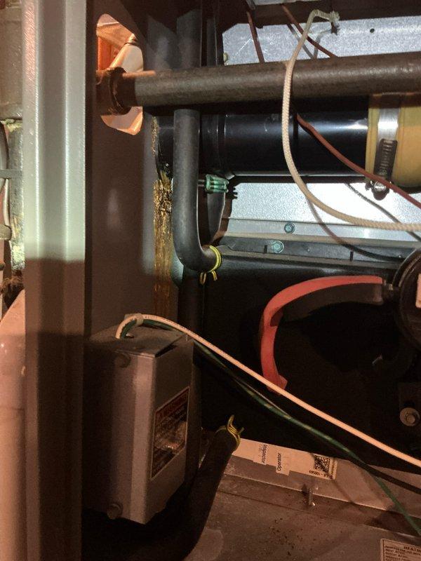 Performed Heating Maintenance service on customer's system. Inspected electrical connections and wiring, finding them in working order despite some disorganization. Customer supplies their own filters as part of their Home Plan Heating Tune Up recurring service.