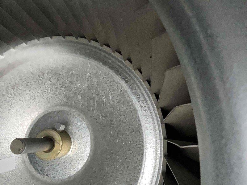 Performed heating tune-up on 3-year-old Rheem Performance water heater. Inspected and cleaned blower wheel assembly to ensure optimal operation. System functioning properly with all connections secure and ventilation in good condition.